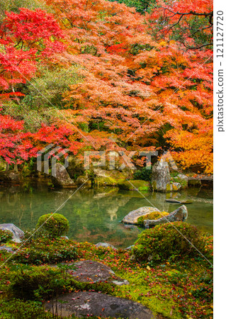 【京都風景】靜謐的紅葉染紅了秋天的池塘 【京都風景】靜謐的紅葉染紅了秋天的池塘 121127720