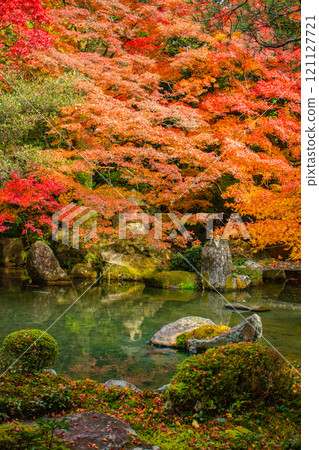 【京都風景】靜謐的紅葉染紅了秋天的池塘 【京都風景】靜謐的紅葉染紅了秋天的池塘 121127721