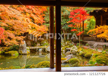 [Kyoto scenery] Autumn leaves decorating the pond in tranquility 121127726