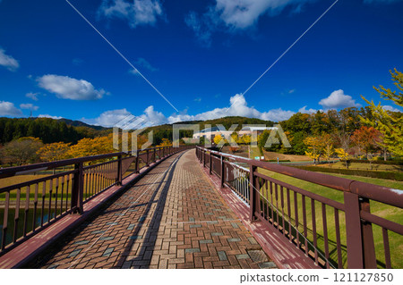 Ginkgo Trees - Fukui Health Forest 121127850