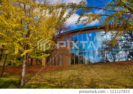Ginkgo Trees - Fukui Health Forest Ginkgo Trees - Fukui Health Forest 121127853