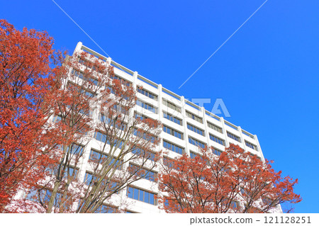 三重縣四日市四日市政廳風景 三重縣四日市四日市政廳風景 121128251