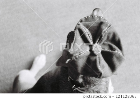比格犬從上方戴著牛仔報童帽 121128365