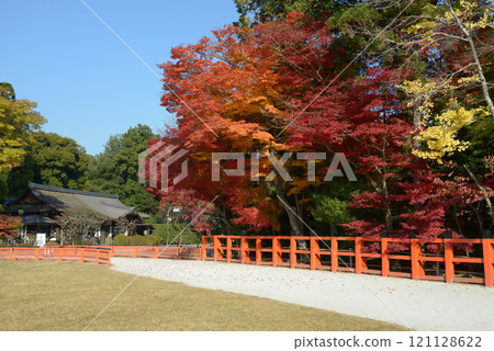 Autumn leaves in the grounds of Kamigamo Shrine, Kita-ku, Kyoto Autumn leaves in the grounds of Kamigamo Shrine, Kita-ku, Kyoto 121128622