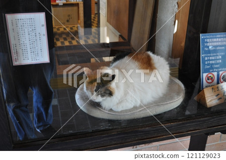 Wakayama Electric Railway Kishi Station Wakayama Electric Railway Kishi Station 121129023
