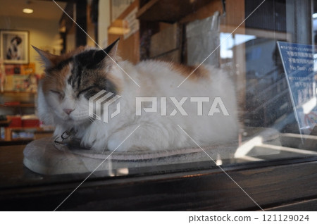 Wakayama Electric Railway Kishi Station 121129024