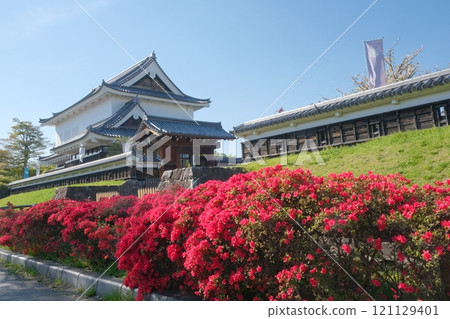 春天鮮花盛開的聖隆寺城公園 春天鮮花盛開的聖隆寺城公園 121129401