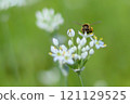 Nira flowers and honeybees 121129525