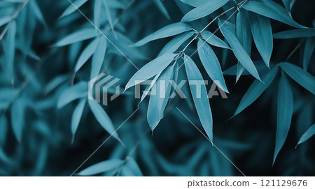 Bamboo leaves texture 121129676