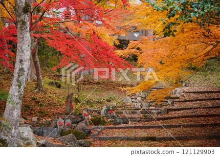 秋天的楓樹覆蓋了神社的參道，京都正法寺 1 121129903