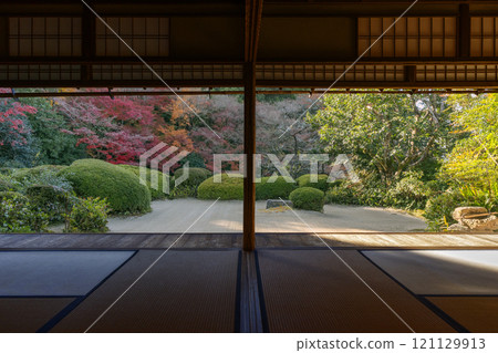 秋天從京都四仙堂書院看到的紅葉花園 121129913