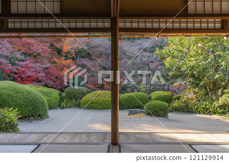 秋天從京都四仙堂書院看到的紅葉花園 121129914