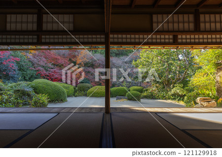 Autumn in Kyoto: Shisendo Temple: A garden of autumn leaves seen from the Shoin Autumn in Kyoto: Shisendo Temple: A garden of autumn leaves seen from the Shoin 121129918