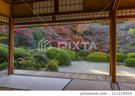 秋天從京都四仙堂書院看到的紅葉花園 121129920