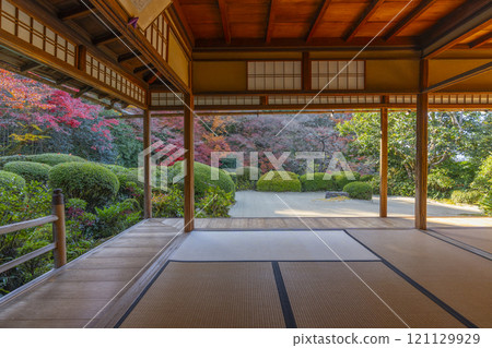Autumn in Kyoto: Shisendo Temple: A garden of autumn leaves seen from the Shoin Autumn in Kyoto: Shisendo Temple: A garden of autumn leaves seen from the Shoin 121129929