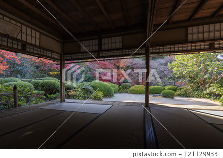 秋天從京都四仙堂書院看到的紅葉花園 121129933