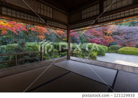 Autumn in Kyoto: Shisendo Temple: A garden of autumn leaves seen from the Shoin Autumn in Kyoto: Shisendo Temple: A garden of autumn leaves seen from the Shoin 121129938