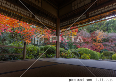 秋天從京都四仙堂書院看到的紅葉花園 121129940