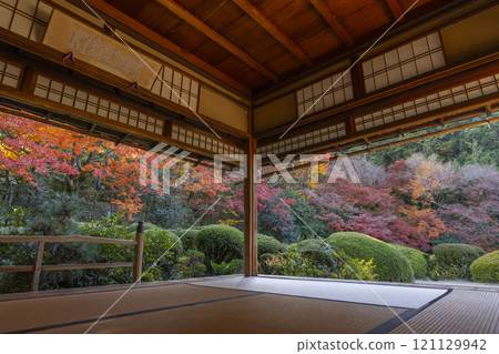 秋天從京都四仙堂書院看到的紅葉花園 秋天從京都四仙堂書院看到的紅葉花園 121129942