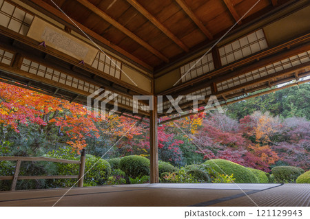 秋天從京都四仙堂書院看到的紅葉花園 121129943