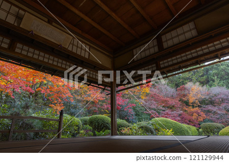 秋天從京都四仙堂書院看到的紅葉花園 121129944