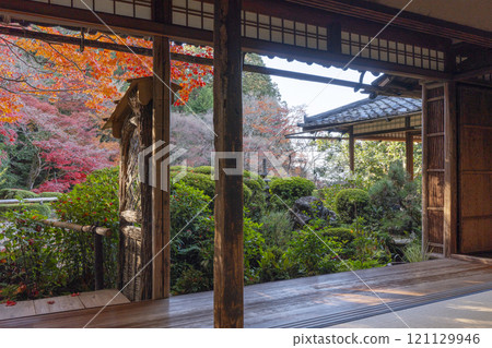 Autumn in Kyoto: Shisendo Hall - Autumn foliage garden seen from Shisen-no-Ma Autumn in Kyoto: Shisendo Hall - Autumn foliage garden seen from Shisen-no-Ma 121129946
