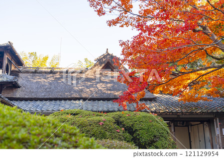 京都的秋天，紫仙堂，小月樓被秋葉覆蓋 121129954