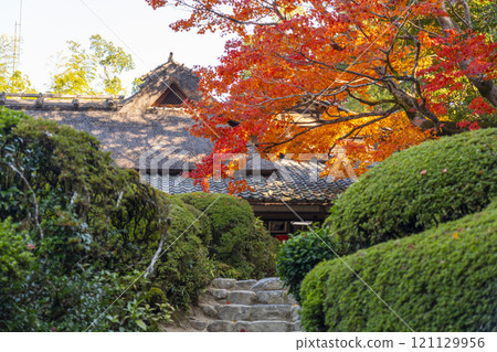 京都的秋天，紫仙堂，小月樓被秋葉覆蓋 121129956