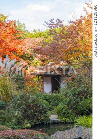 Autumn in Kyoto: Shisendo Temple, Zangetsuken surrounded by autumn leaves 121129960