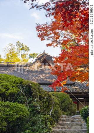 京都的秋天，紫仙堂，小月樓被秋葉覆蓋 121129961