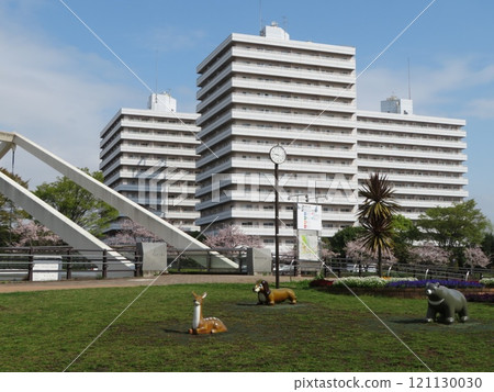 櫻花公園 櫻花公園 121130030