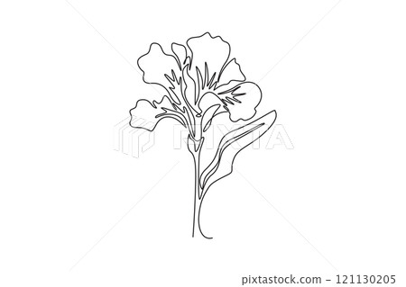 Single continuous line drawing beauty fresh canna for garden logo. Printable poster decorative canna lily flower concept for wedding invitation card. One line draw graphic design vector illustration Single continuous line drawing beauty fresh canna for garden logo. Printable poster decorative canna lily flower concept for wedding invitation card. One line draw graphic design vector illustration 121130205