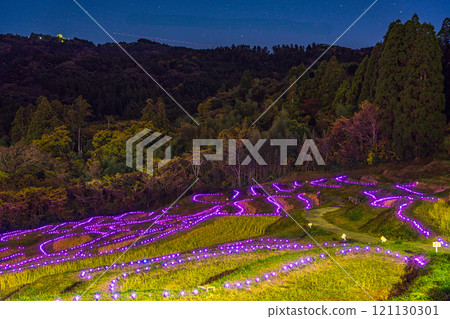 (Chiba Prefecture) Oyama Senmaida Illumination: Lights of the Rice Terraces 121130301