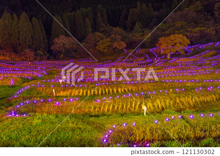 (Chiba Prefecture) Oyama Senmaida Illumination: Lights of the Rice Terraces (Chiba Prefecture) Oyama Senmaida Illumination: Lights of the Rice Terraces 121130302