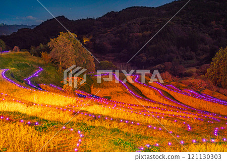 (千葉縣)小山千枚田點燈:梯田上的燈光 (千葉縣)小山千枚田點燈:梯田上的燈光 121130303