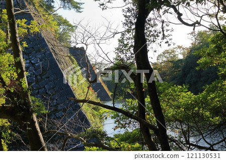 城堡護城河和高石牆的風景 121130531