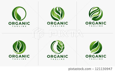 Colorful natural plant leaf logo branding set 121130947