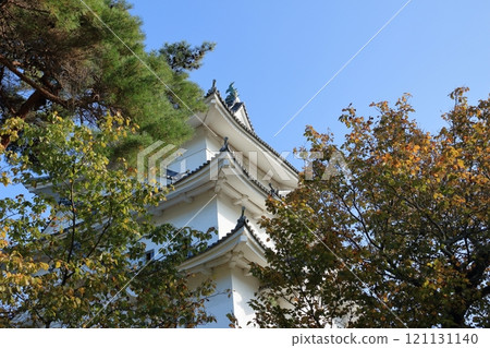 Iga Ueno Castle's castle tower Iga Ueno Castle's castle tower 121131140