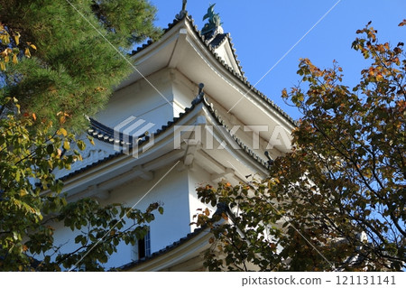 Iga Ueno Castle's castle tower Iga Ueno Castle's castle tower 121131141