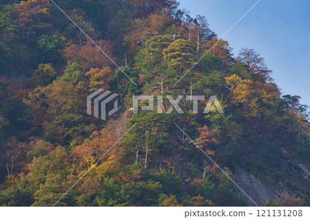 Ryugahana Dam surrounded by autumn leaves 121131208
