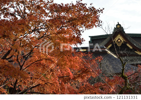 秋天的天神山、楓葉和雨後的三古門【重要文化財產】 秋天的天神山、楓葉和雨後的三古門【重要文化財產】 121131331