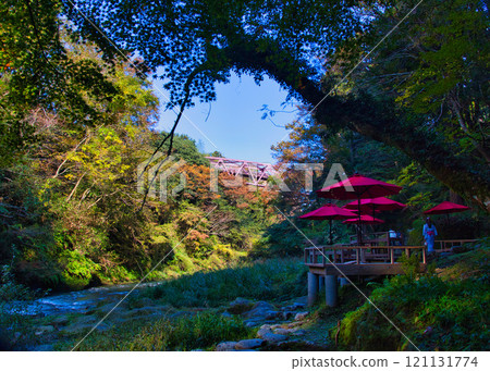 Autumn at Yamanaka Onsen and Kakusenkei 121131774