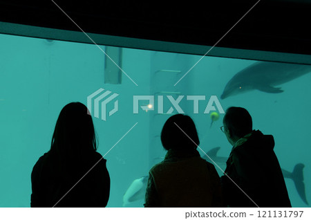 Aquarium scenery Aquarium scenery 121131797