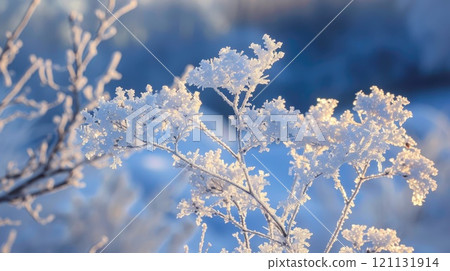 Winter frost. Generative AI 121131914
