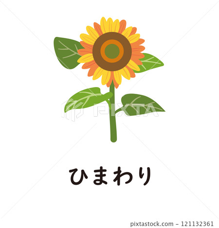 Japanese Hiragana Series - Sunflower: Hiragana with "hi" 121132361