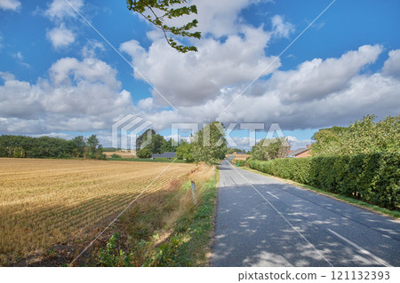 Vibrant rural landscape of a road through the countryside on a sunny day. Dry corn or wheat field after harvest in a small Danish village against a cloudy blue sky. Quiet farming town in summer 121132393