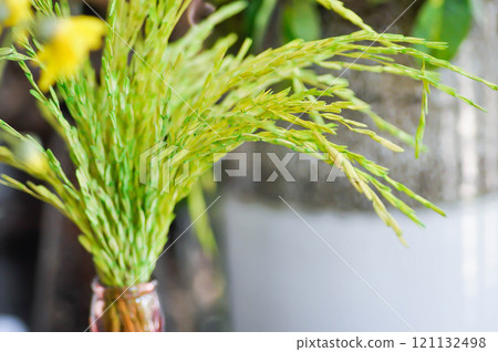 rice plant in a vase for decoration rice plant in a vase for decoration 121132498