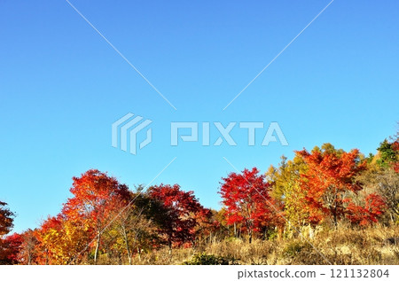 Climbing path of autumn leaves Climbing path of autumn leaves 121132804