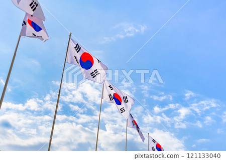 東大門,首爾,韓國,韓國國旗 東大門,首爾,韓國,韓國國旗 121133040