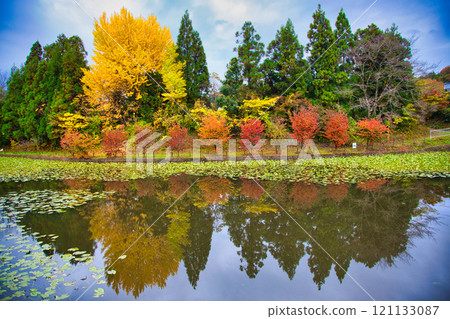 Falls of Satoyama 121133087